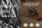 Paterna Serif Font, a Serif Font by Hishand Studio (Thumbnail 5 of 10)