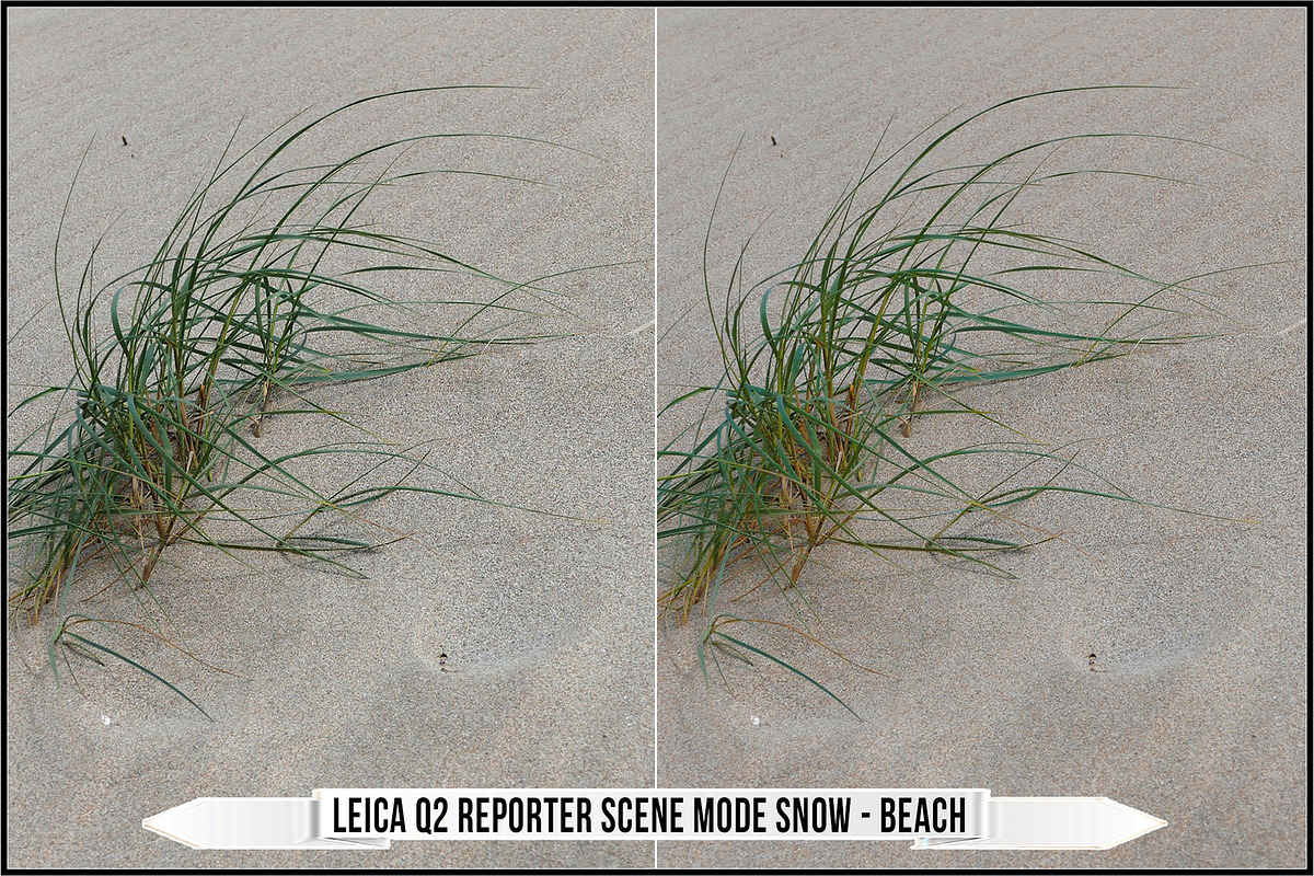 Leica Film Styles, a Plug-in Add-On by Raztrend (Photo 29 of 30)