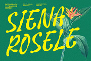 Siena Rosele – Handwritten Font, a Handwritten Font by decographstud (Thumbnail 1 of 8)