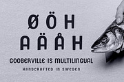 Gooberville Typeface, a Sans Serif Font by Selma’s Patty (Thumbnail 3 of 4)