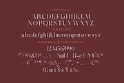 Hamster Modern Serif Font, a Serif Font by Letterena Studios (Thumbnail 13 of 15)