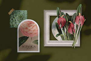 Vintage Botanica Collage Creator