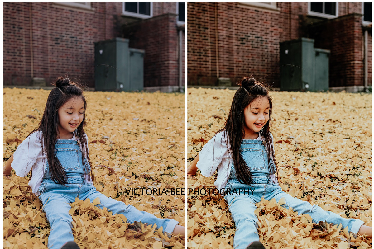 RICH AUTUMN LIGHTROOM PRESETS, a Preset Add-On by Victoria Bee Presets (Photo 8 of 9)