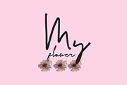 Sweet Downy - Signature Handwritten, a Handwritten Font by Lemon Studio Type (Thumbnail 2 of 7)