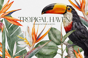 Tropical Haven I Premium Collection, a Pattern Graphic by Alisa Fimen Design
