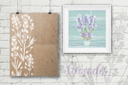 Lavender., an Object Illustration by maritime_m (Thumbnail 6 of 7)
