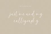 Willowshine Calligraphy Font, a Script Font by Pen Culture (Thumbnail 5 of 9)
