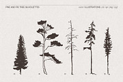 Pine and Fir Tree Silhouettes, an Object Illustration by TheMountBirdStudio (Thumbnail 6 of 6)