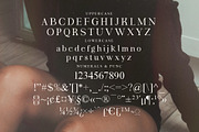 Fortela Typeface Font, a Serif Font by Storytype Studio (Thumbnail 14 of 15)