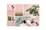 Pink & Botanical Stock Photo Bundle, an Abstract Photo by Moyo Studio (Thumbnail 3 of 10)