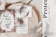 Watercolor Protea Floral Elements, a Decorative Illustration by Damian Roh (Thumbnail 4 of 12)