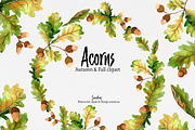 Autumn clip art: ACORNS watercolor, an Illustration by SandraGraphicDesign (Thumbnail 2 of 7)