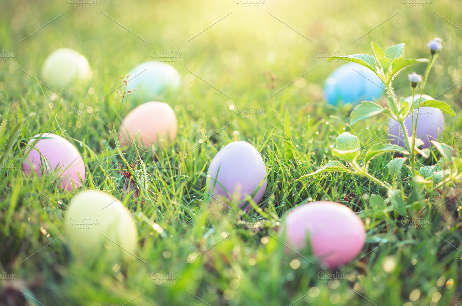 Easter eggs on green grass containing easter, april, and background, a Holiday Photo by Nednapa