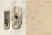 Wabi Wash – 76 Sketchbook Textures, a Texture Graphic by wheezy_papergirl (Thumbnail 6 of 7)