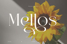 Mellos - Stylish Retro Serif