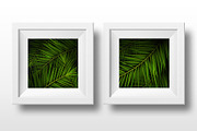 Palm Leaves background, a Decorative Illustration by Leo Edition (Thumbnail 2 of 3)