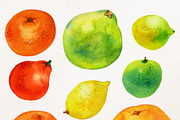 Watercolor Citrus Clipart Collection, a Food Illustration by Olga Begak Art & Design (Thumbnail 3 of 10)