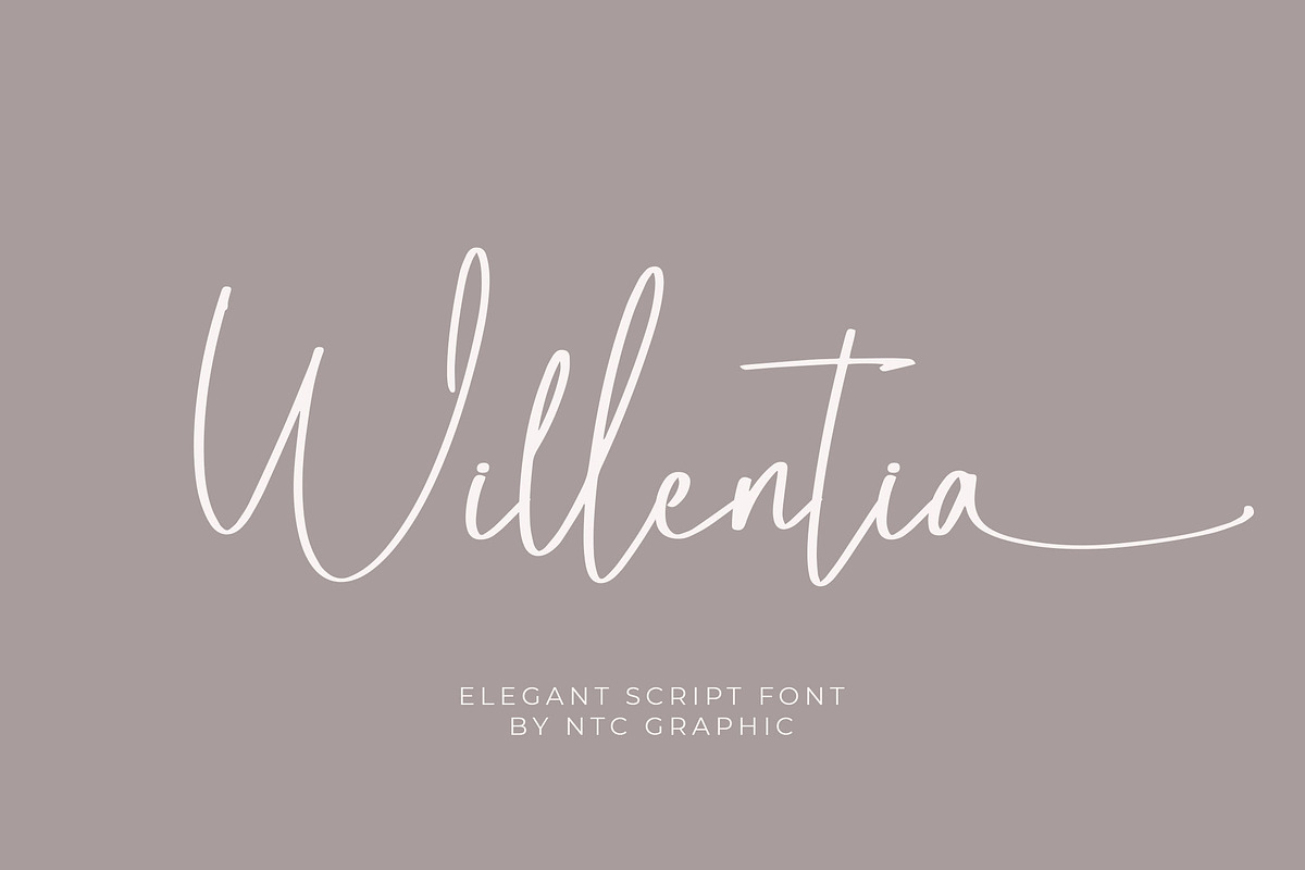 Willentia - Elegant Script Font, a Script Font by NTC Graphic (Photo 1 of 9)