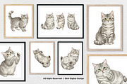 15 Bundle Watercolor Grey Cats Pet, an Animal Illustration by Morspective (Thumbnail 4 of 15)