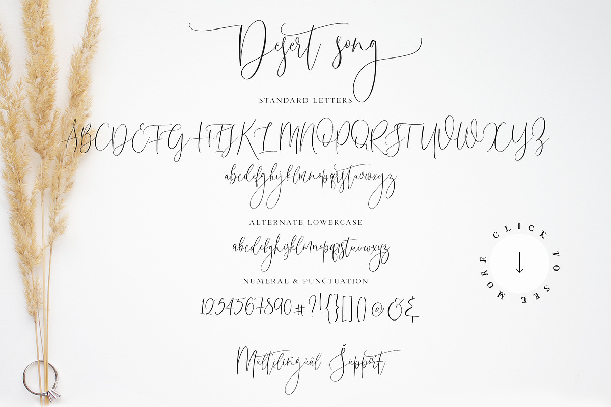 Desert Song | Calligraphy Script, a Script Font by Calamar Studio (Photo 14 of 14)