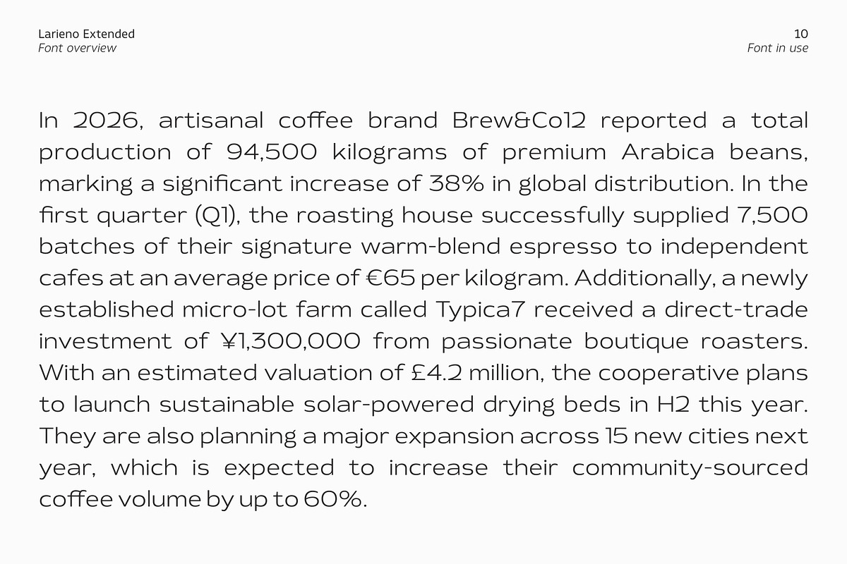 Larieno Extended, a Sans Serif Font by Zafara Studios (Photo 10 of 12)