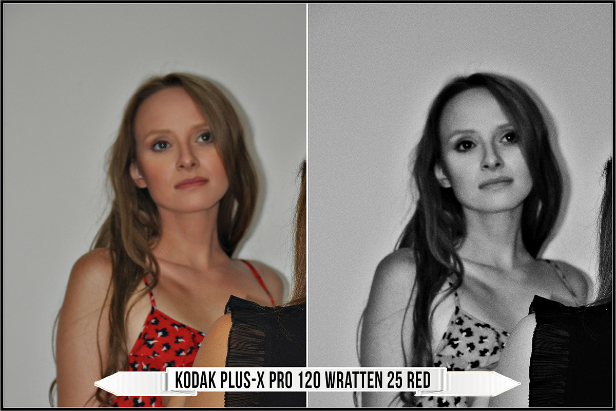 Eastman Kodak Black and White Films, a Plug-in Add-On by Raztrend (Photo 25 of 30)