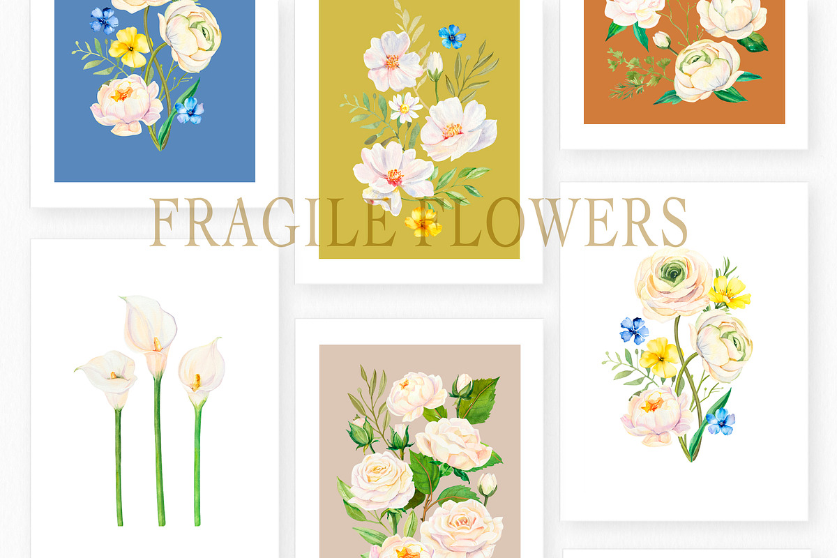 White Flowers watercolor collection, a Decorative Illustration by Volha Studio (Photo 9 of 9)