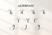Dingbat | Script Font, a Handwritten Font by Scratchones (Thumbnail 8 of 9)