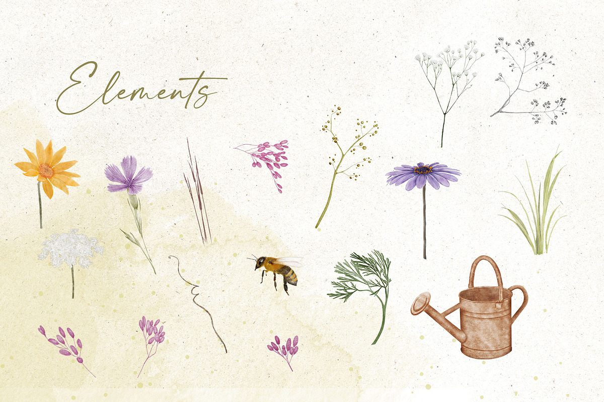 Weeds & Wildflowers Design Set, an Illustration by Maggie Stilwell Design (Photo 14 of 16)