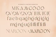 LOOK - Modern Elegant Logo Font, a Serif Font by Sensatype (Thumbnail 12 of 13)