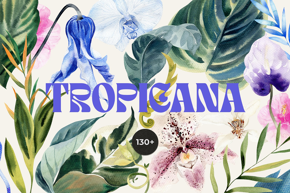 BUNDLE Vol.3 - 5000 graphics 27 in 1, a Decorative Illustration by Lana Elanor (Photo 30 of 30)