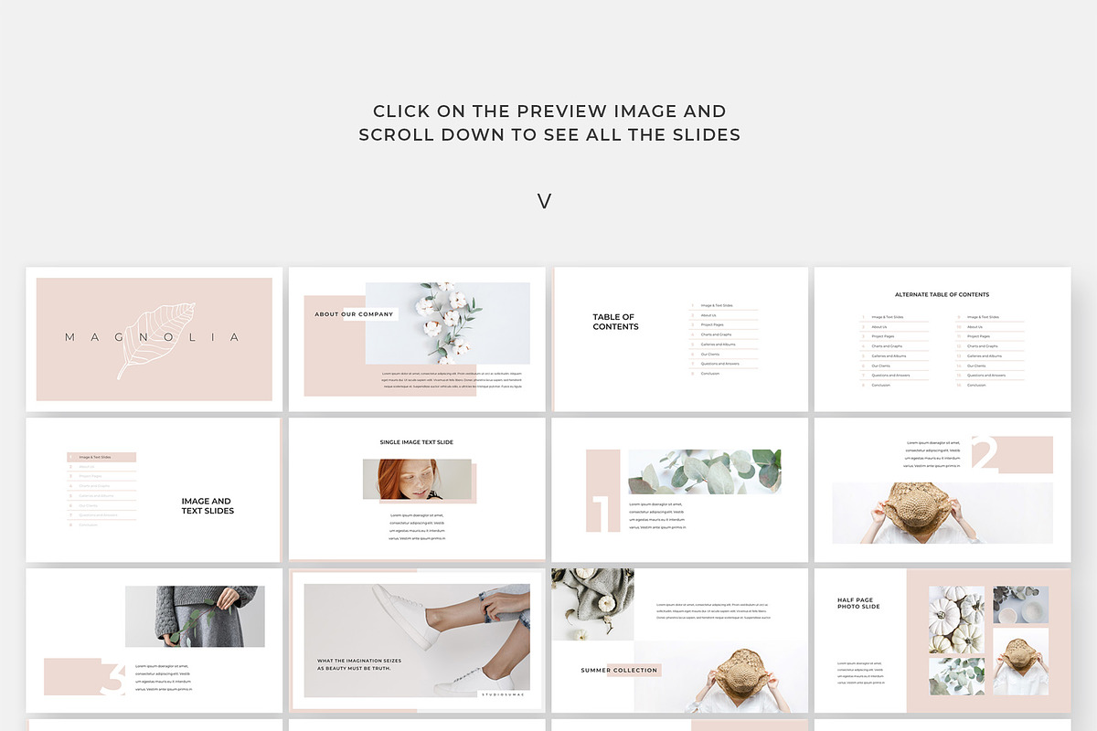 Magnolia PowerPoint Presentation, a Presentation Template by Studio Sumac (Photo 8 of 8)