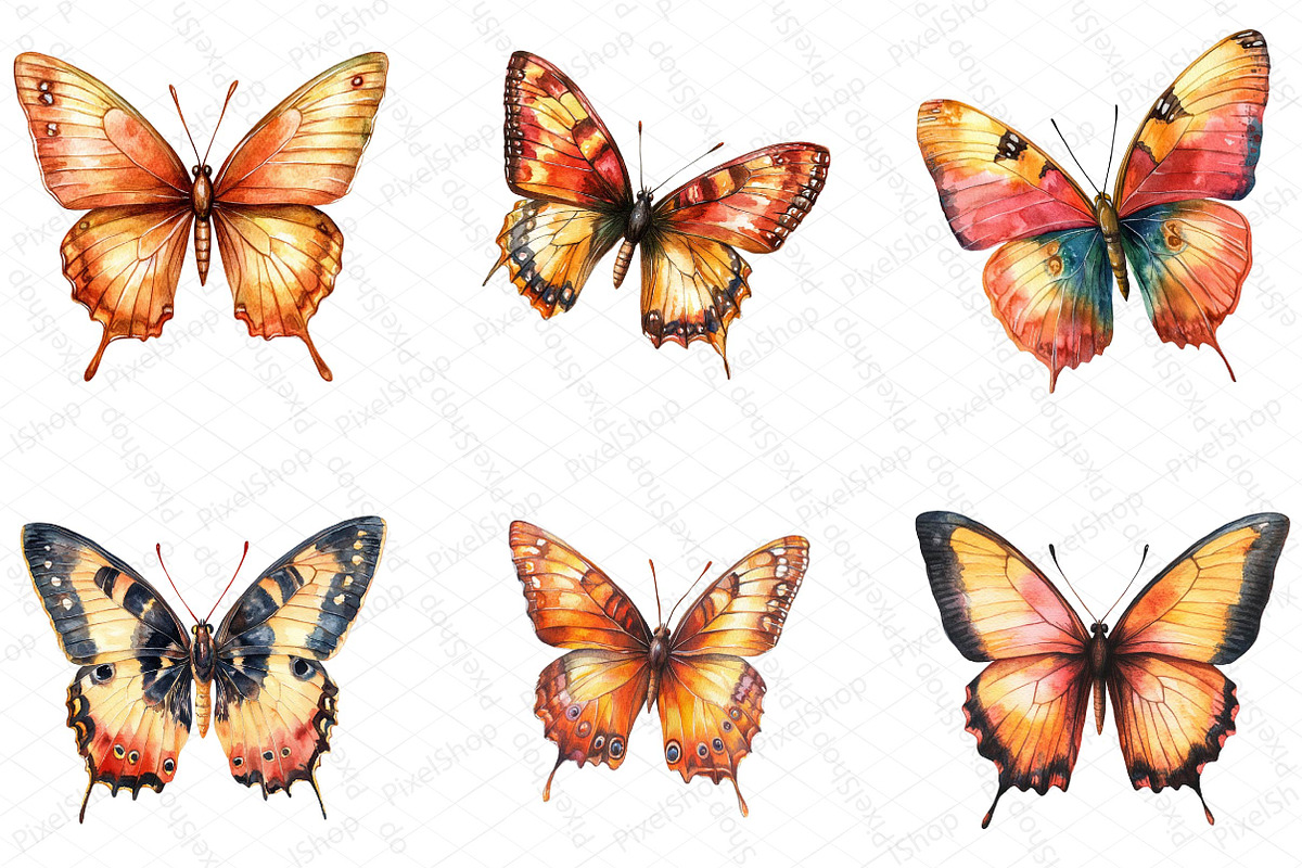 Watercolor Fall Butterfly Clipart, an Illustration by DreamPrint404 (Photo 4 of 5)