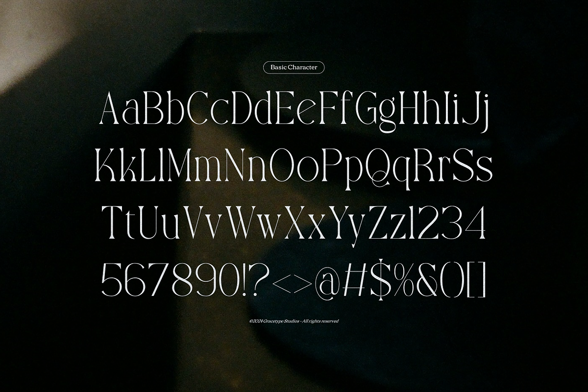 Yerindar | Modern Display Serif, a Serif Font by gracetype_studio (Photo 10 of 12)