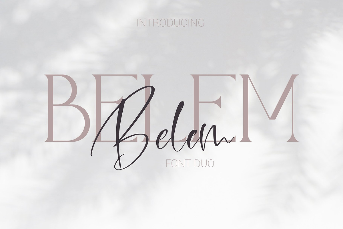 Font Bundle.Fonts & Extras preview 5