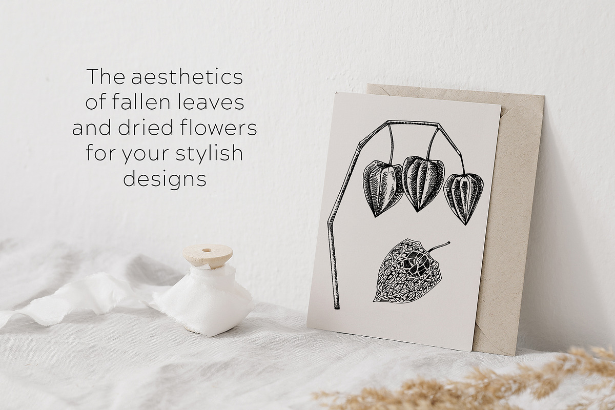 Autumn Leaves & Flowers. Fall Bundle, an Object Graphic by Yevheniia (Photo 5 of 11)