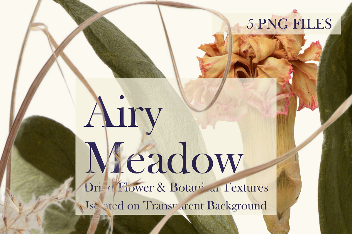 Airy Meadow – Dried Flower & Meadow, an Object Graphic by Aga Silva (Photo 2 of 7)