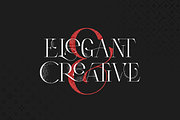 Type Monster - Elegant Font + Extras, a Serif Font by VP Fonts (Thumbnail 4 of 15)