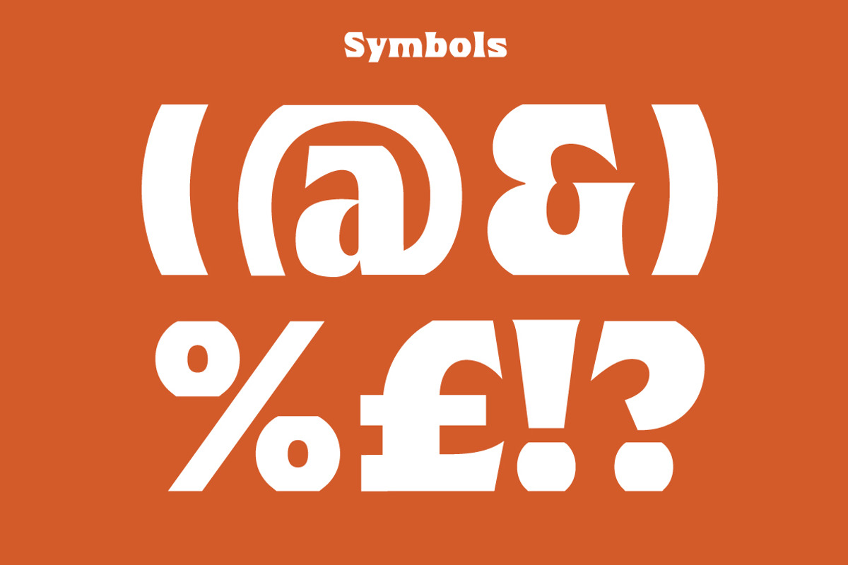 Lauge, a Sans Serif Font by Jan-Christian Bruun (Photo 4 of 14)