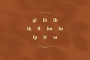 Mikaela Elegant Serif Font, a Serif Font by Perfectype (Thumbnail 8 of 8)