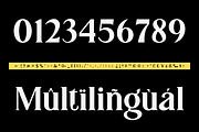 Gundogan | Serif Font, a Font by BearyType Studio (Thumbnail 3 of 10)