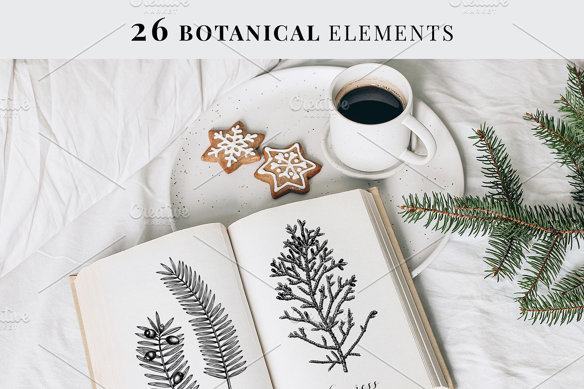 Christmas Elements. Winter Bundle, a Seasonal Illustration by Yevheniia (Photo 5 of 10)