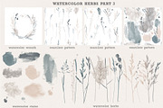 Watercolor herbs collection, a Decorative Illustration by Tatiana Davidova (Thumbnail 4 of 8)