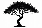 Nature Tree SVG Collection, an Illustration by Amazin_art (Thumbnail 7 of 20)
