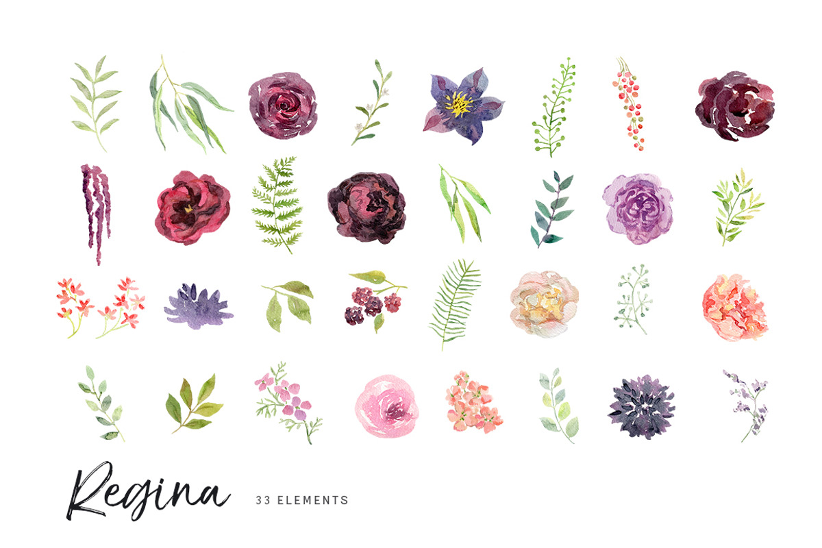 Regina watercolor floral collection, an Illustration by OJardin (Photo 5 of 5)