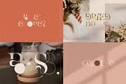 Whole Shop Bundle UPDATED, a Texture Illustration by Creativeqube Design (Thumbnail 213 of 253)
