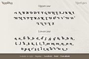Kopitha - Modern Serif Font, a Serif Font by Ekahermawan (Thumbnail 10 of 12)
