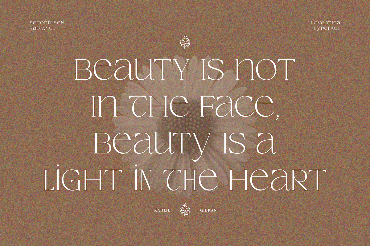 SS Loventica - Chic Elegant Serif, a Serif Font by Typocracy Studio (Photo 9 of 10)