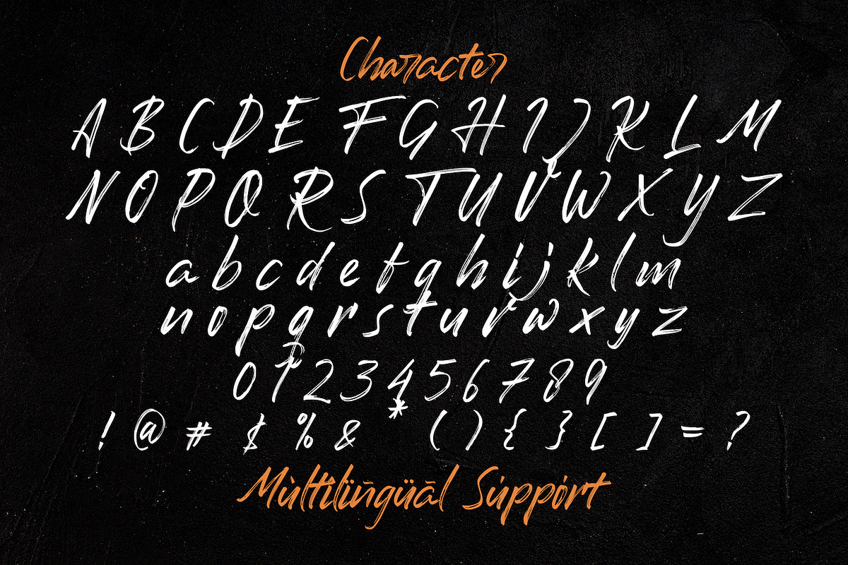 Romantika Hidup - Brush Script Font, a Script Font by StringLabs (Photo 9 of 10)