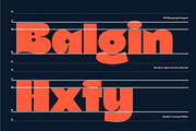 Balgin Font Family, a Sans Serif Font by Sundance Tipografia (Thumbnail 5 of 22)